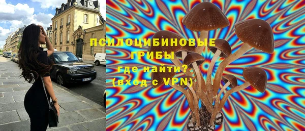 прущие грибы Алзамай