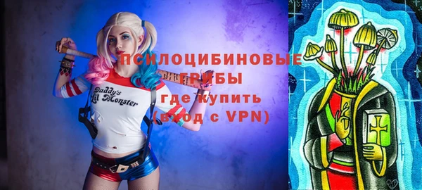 не бодяженный Алексин