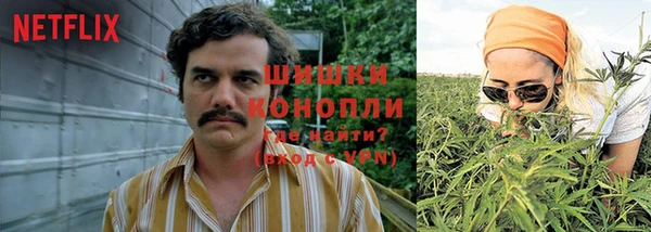 шишки Алексеевка