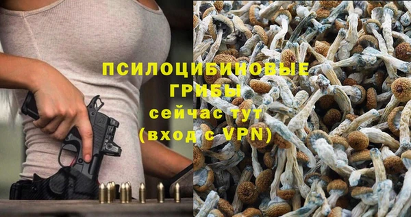 прущие грибы Алзамай