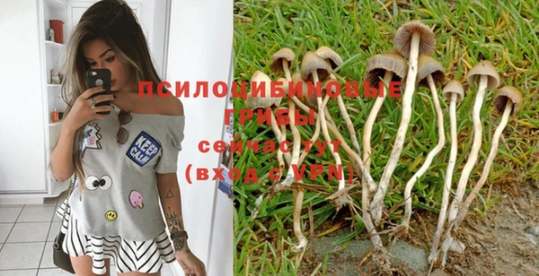 шишки Алексеевка