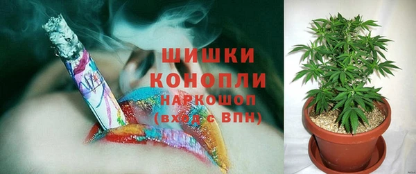 шишки Алексеевка