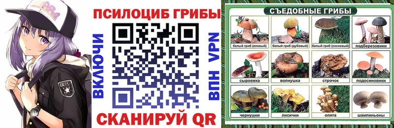 Галлюциногенные грибы Psilocybine cubensis Цоци-Юрт